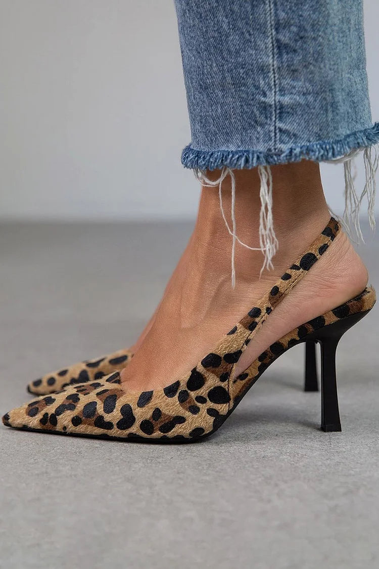 Leopard / 10.5