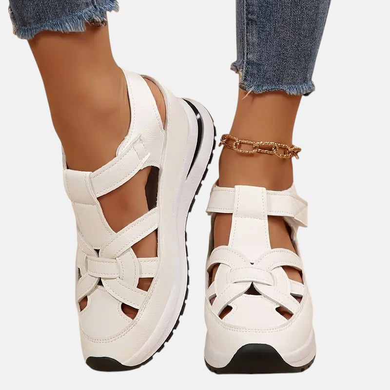 White / 12