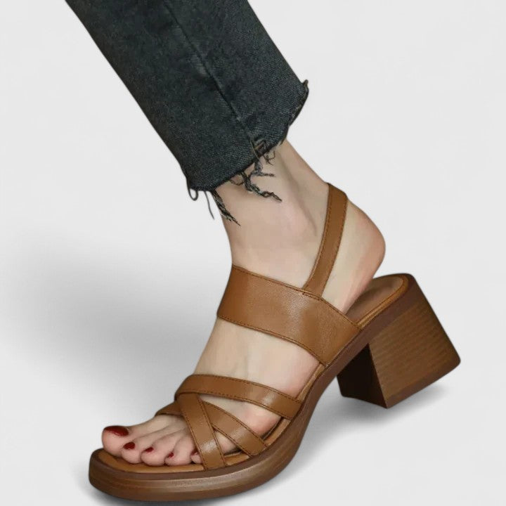 Brown / 10 US | 41 EU