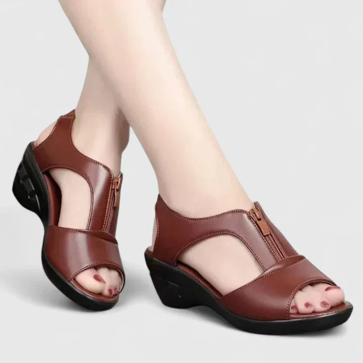 Red Wine / 11 US | 42 EU