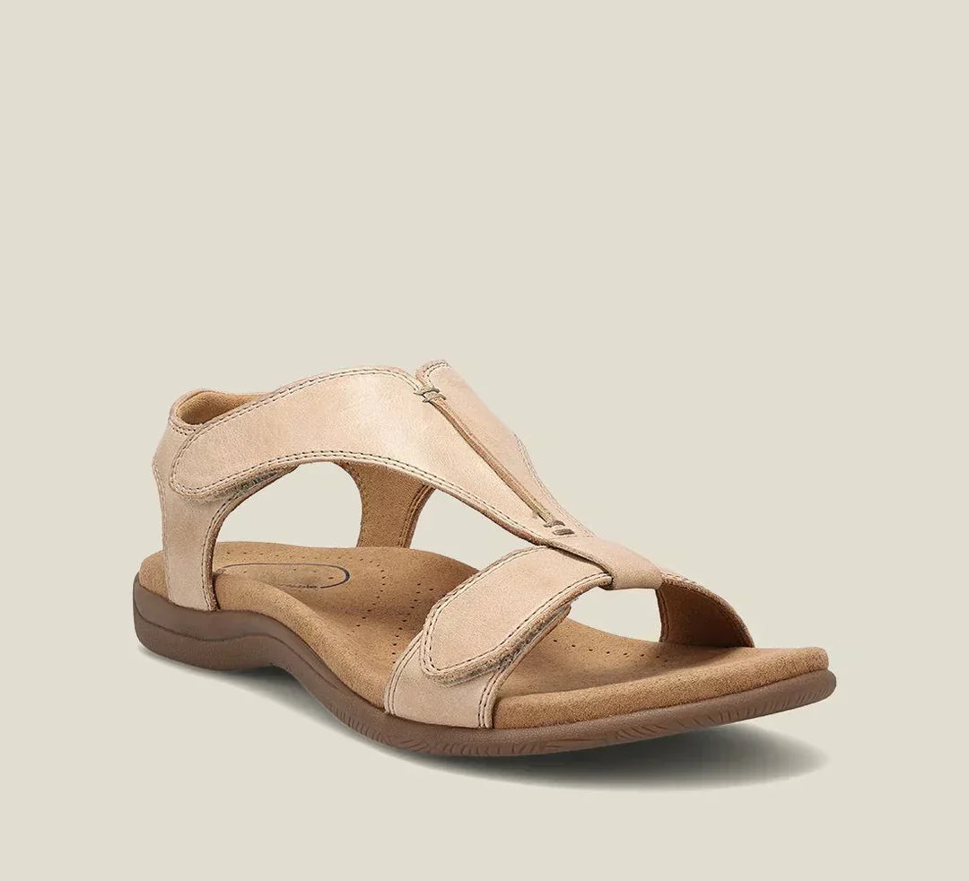 Beige / 4