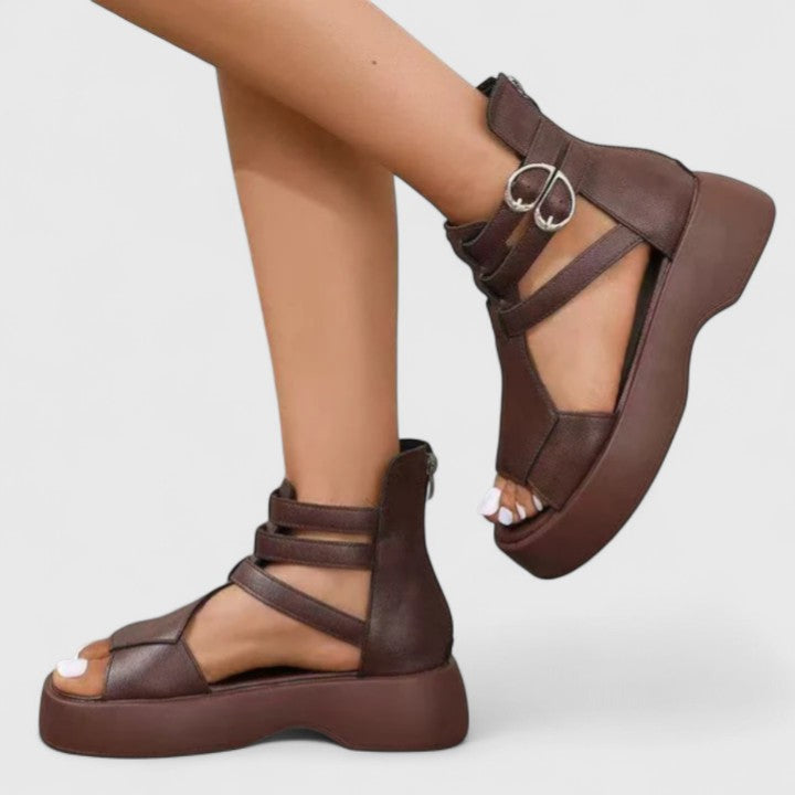 Brown / 12 US | 43 EU